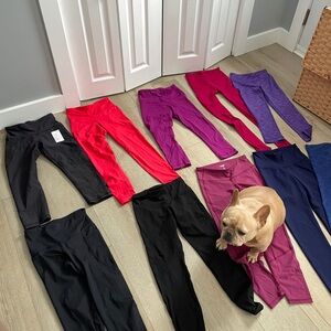 Assorted Women’s Leggings Bundle - Black, Red, Purple, Navy